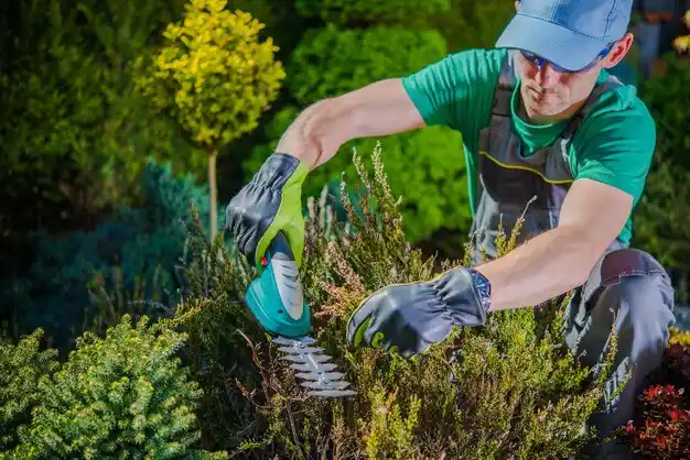 landscaping services Tipton